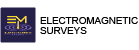 Electromagnetic Surveys